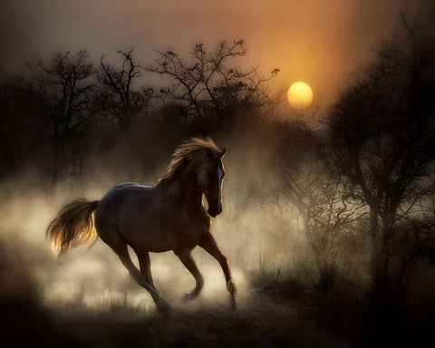 I Tried To In My Way To Be Free