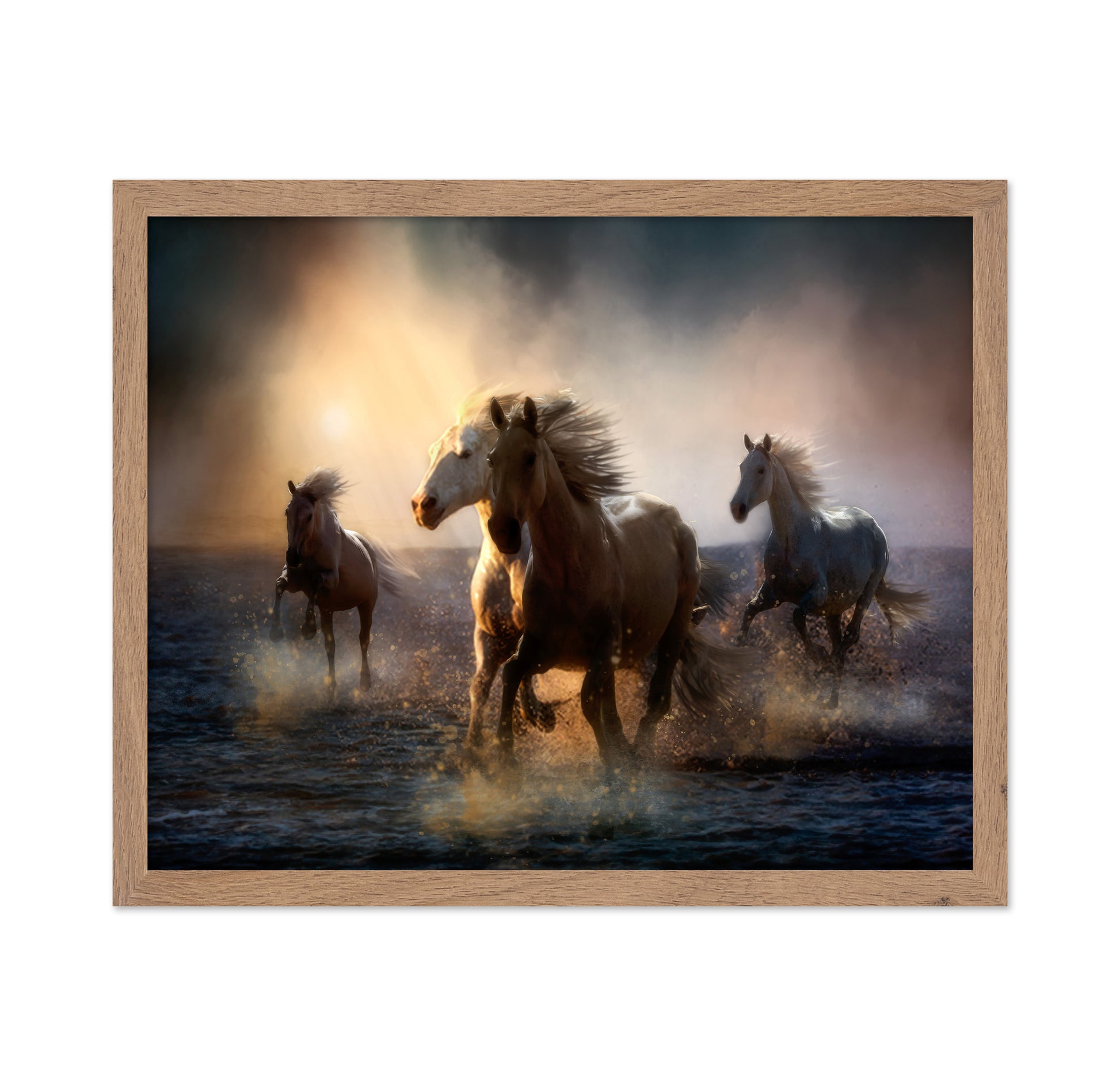 Wild Freedom at Golden Hour