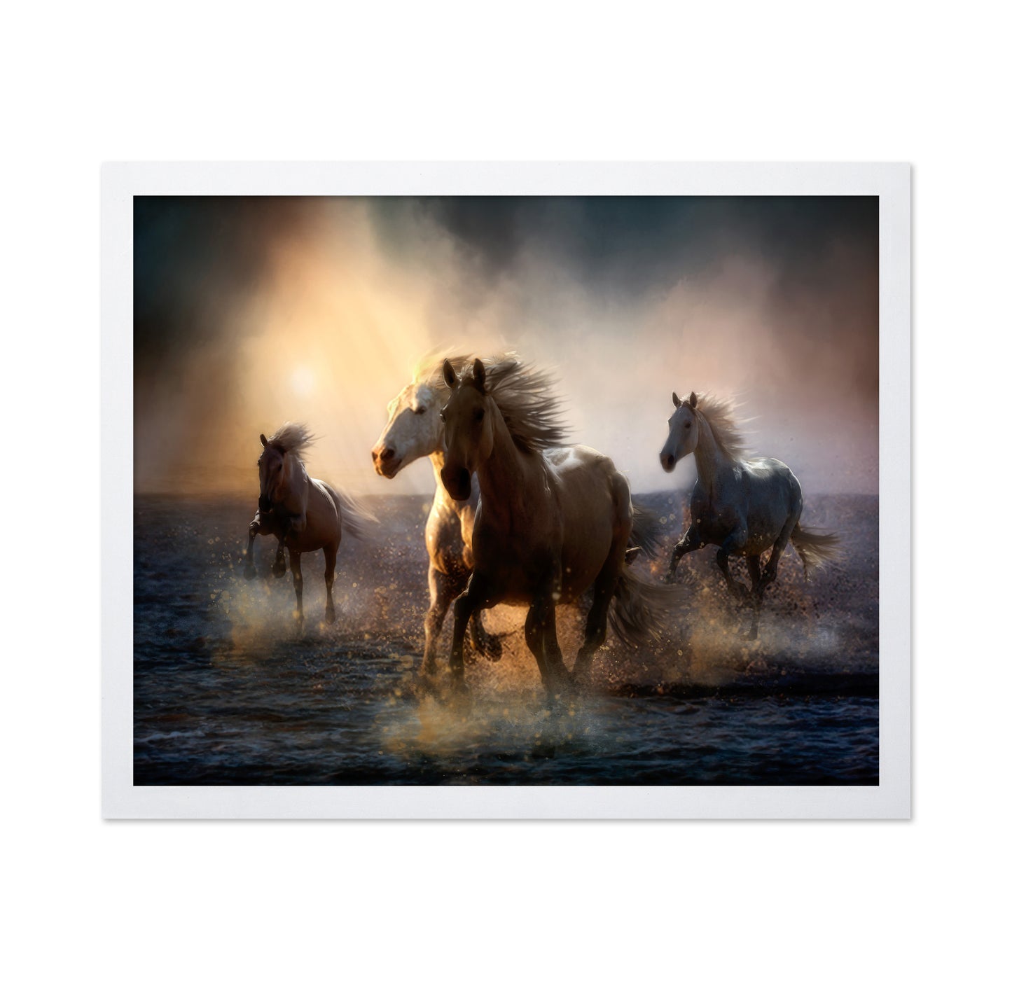 Wild Freedom at Golden Hour