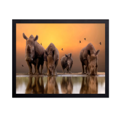 Rhinos By The Water