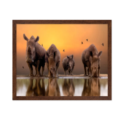 Rhinos By The Water