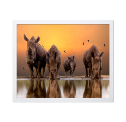 Rhinos By The Water