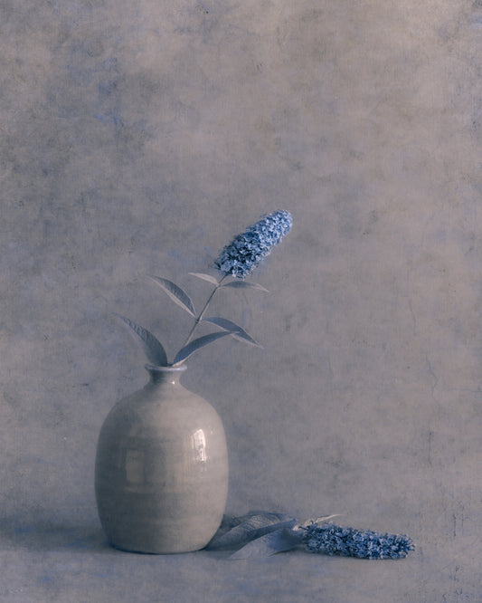 Blue Visions