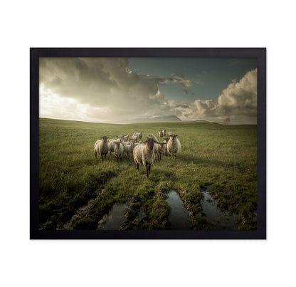 Countryside Sheep Farm