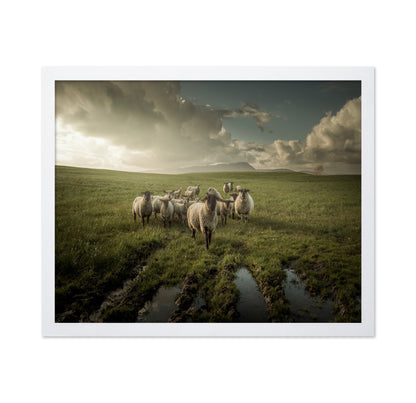 Countryside Sheep Farm