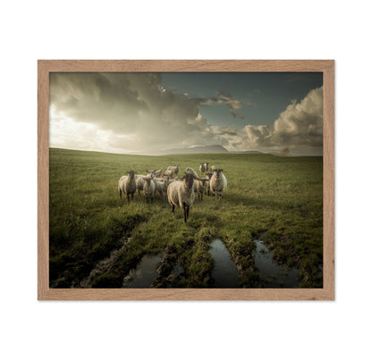 Countryside Sheep Farm