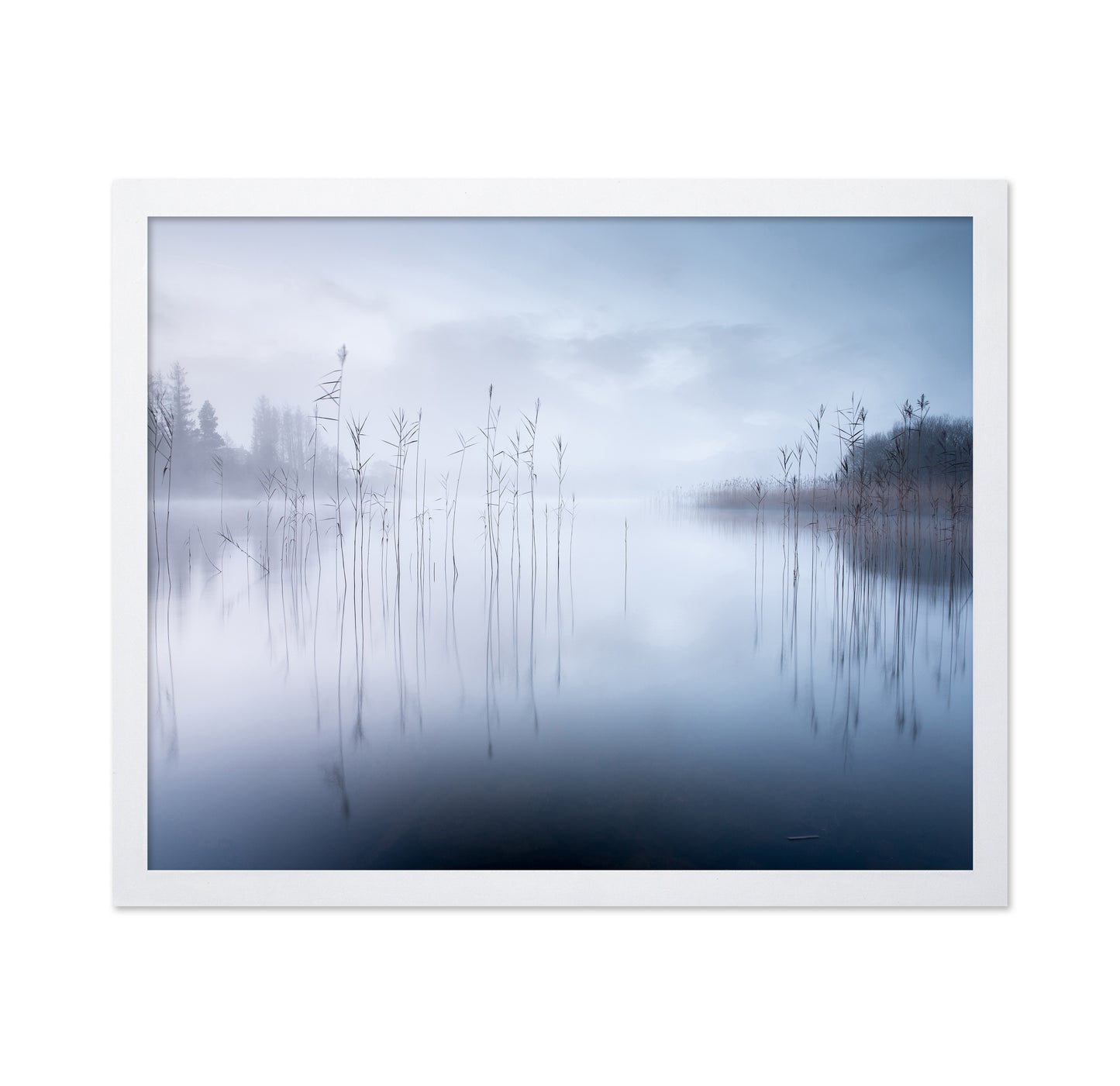 Lake Reeds