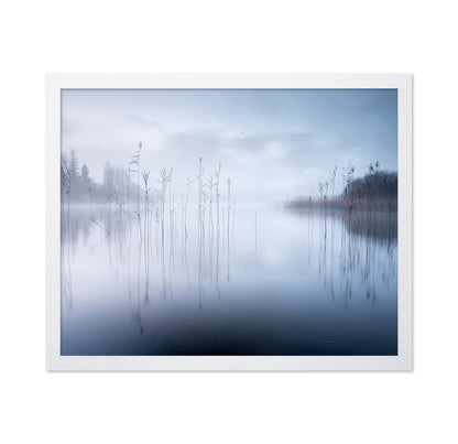 Lake Reeds