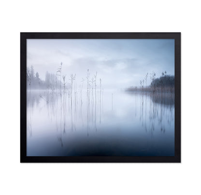 Lake Reeds