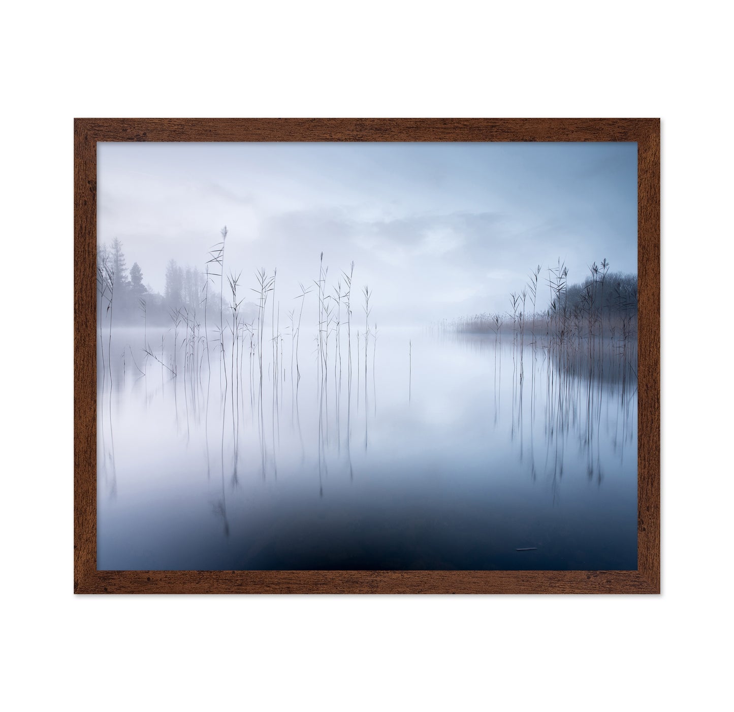 Lake Reeds