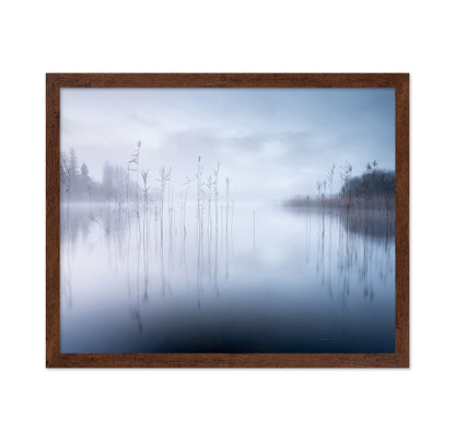 Lake Reeds