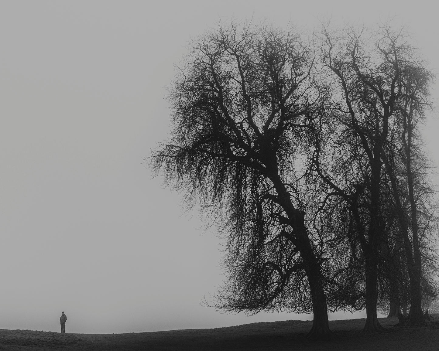 A Monster Calls