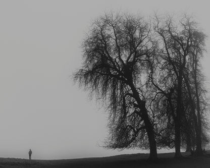 A Monster Calls