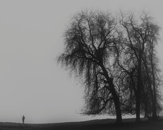 A Monster Calls