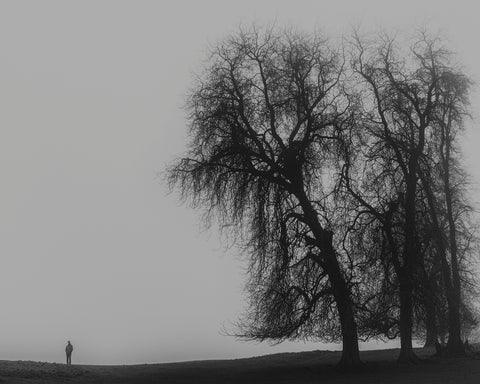 A Monster Calls