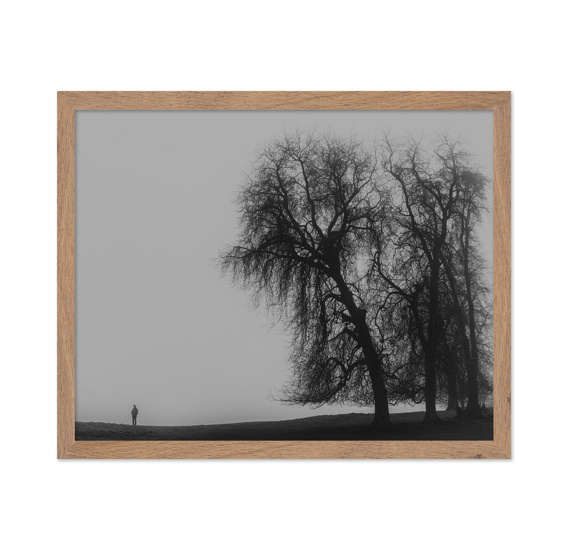 A Monster Calls