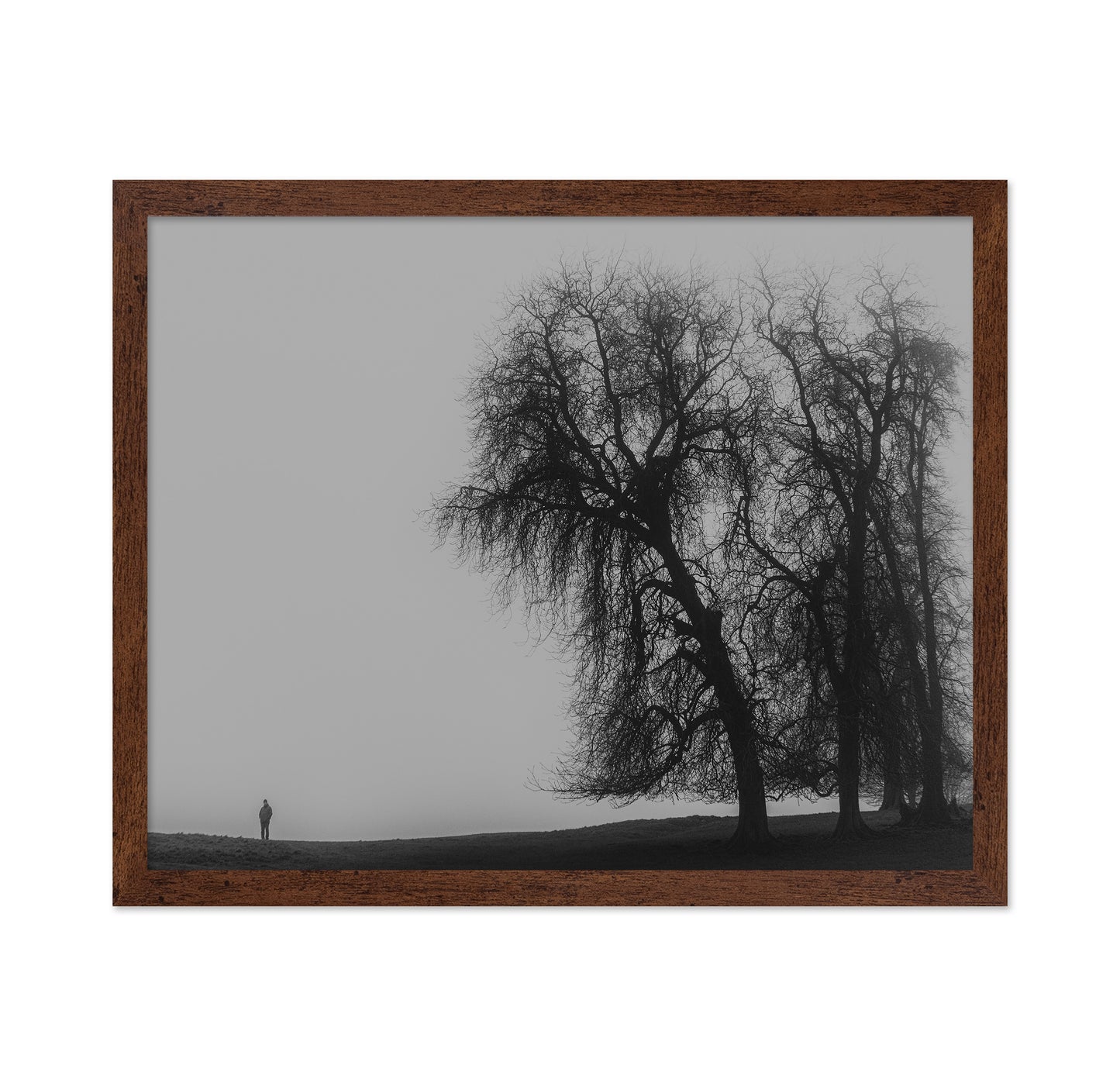 A Monster Calls