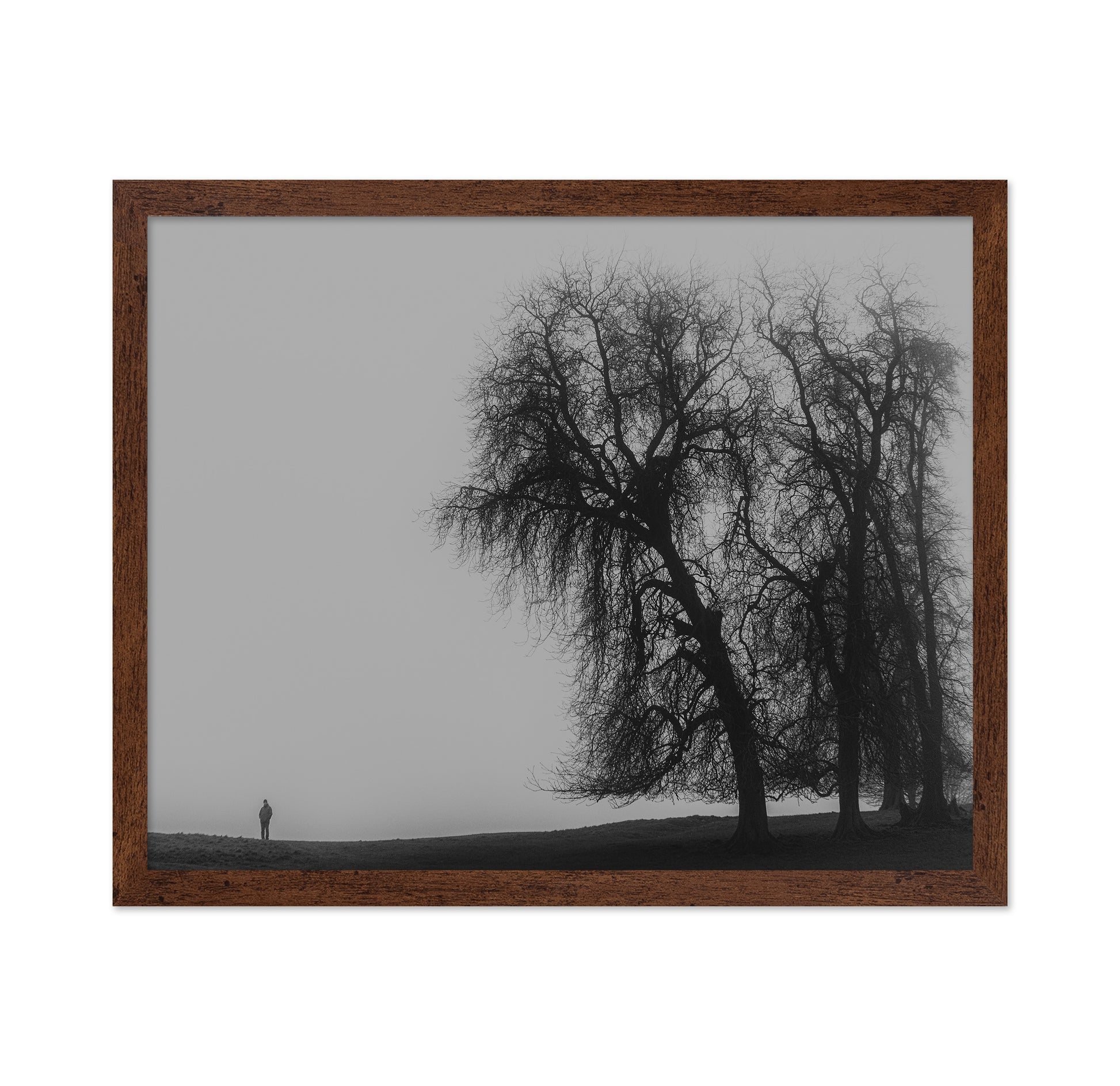 A Monster Calls