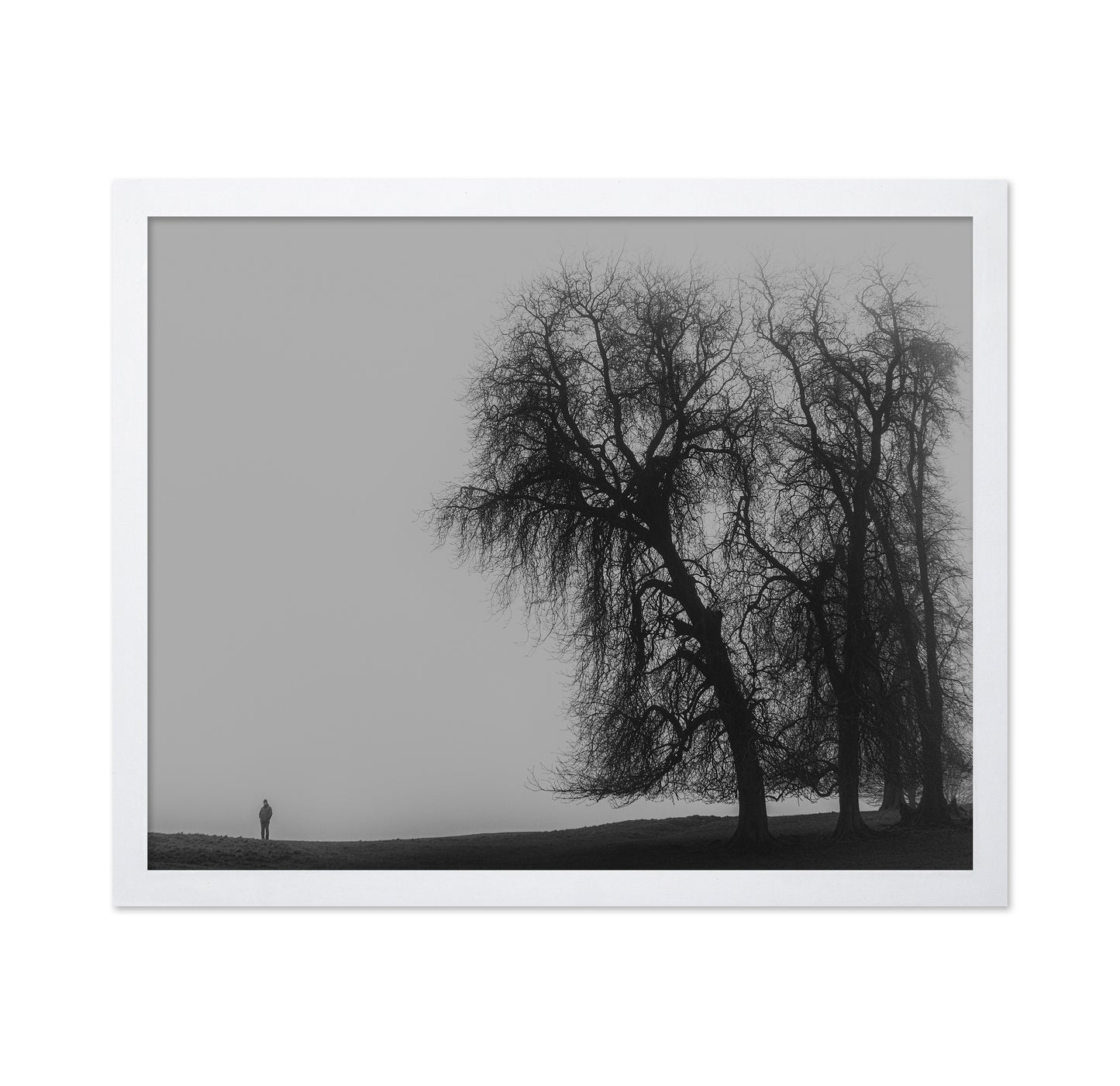 A Monster Calls
