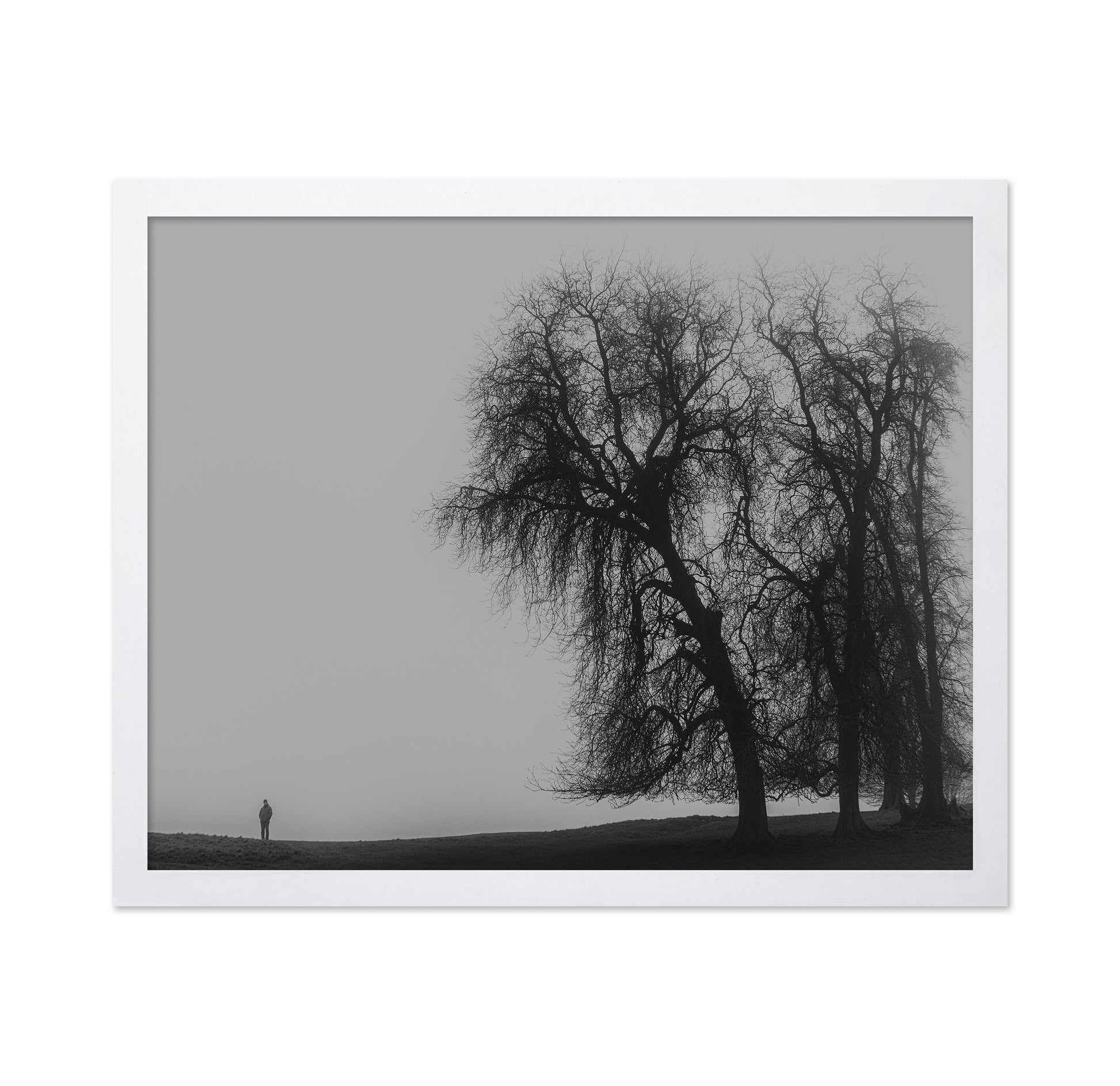 A Monster Calls
