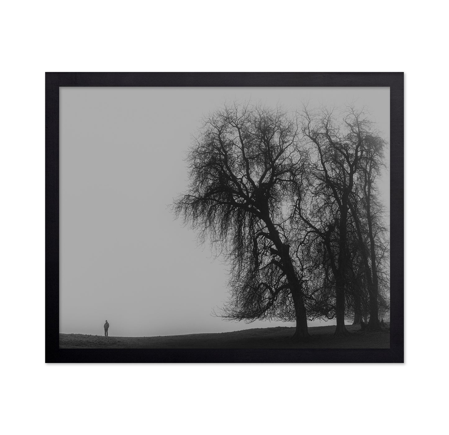 A Monster Calls