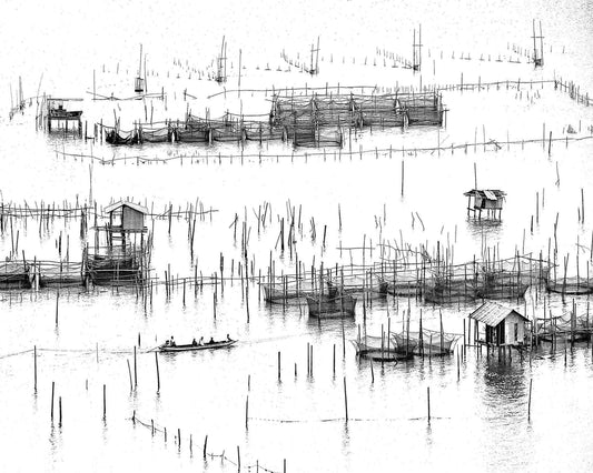 Wetland Village