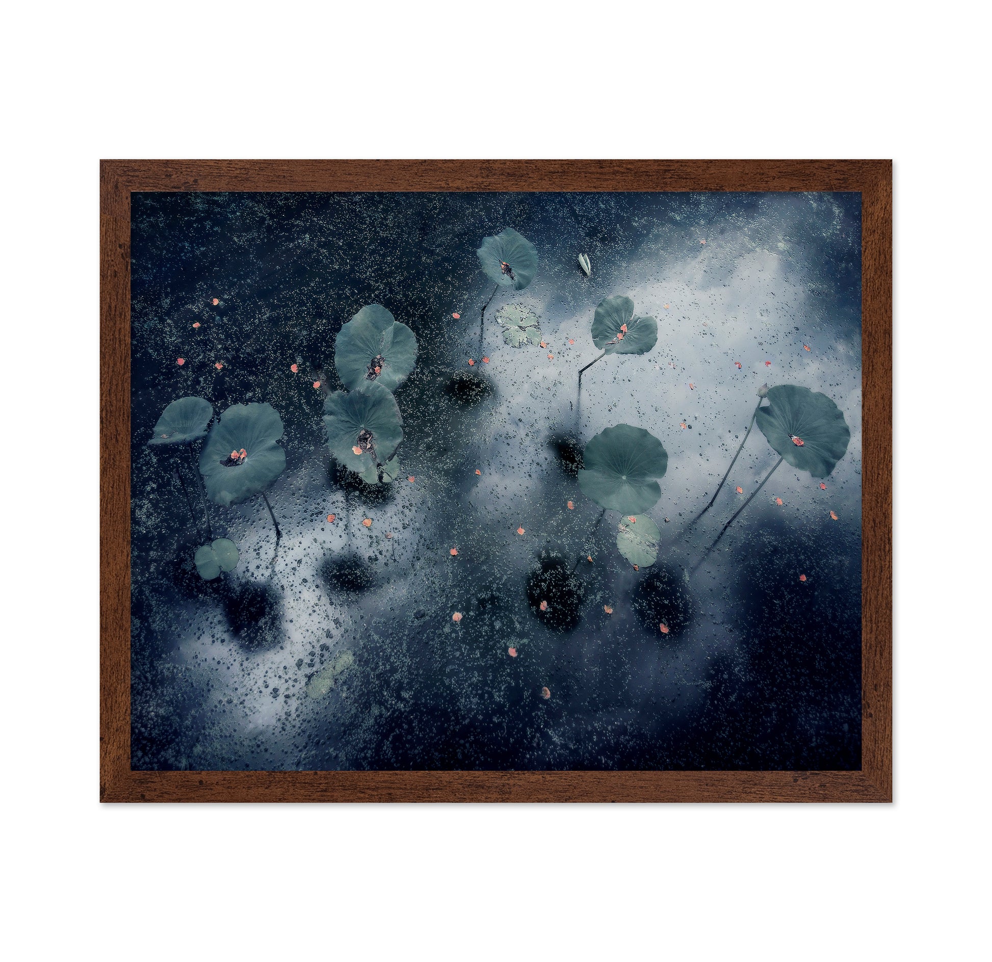 Plant In The Galaxy