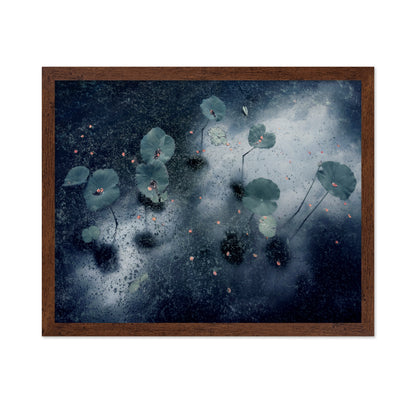 Plant In The Galaxy