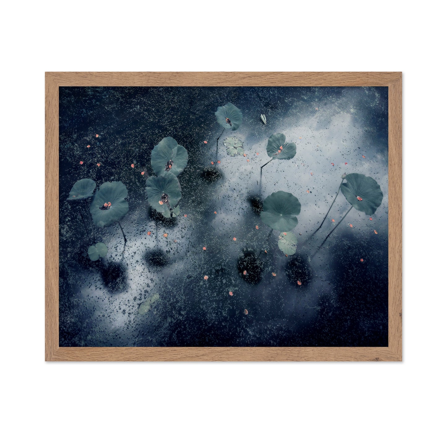 Plant In The Galaxy