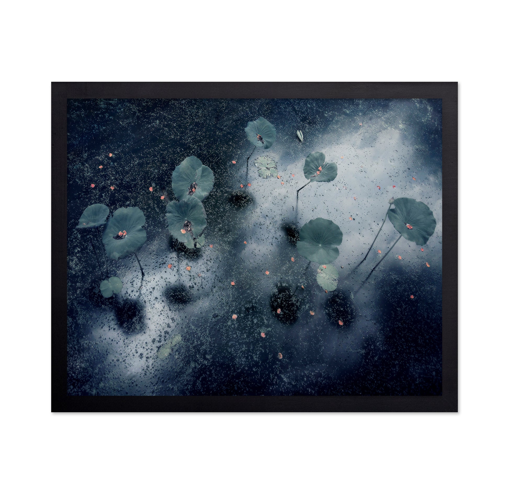 Plant In The Galaxy