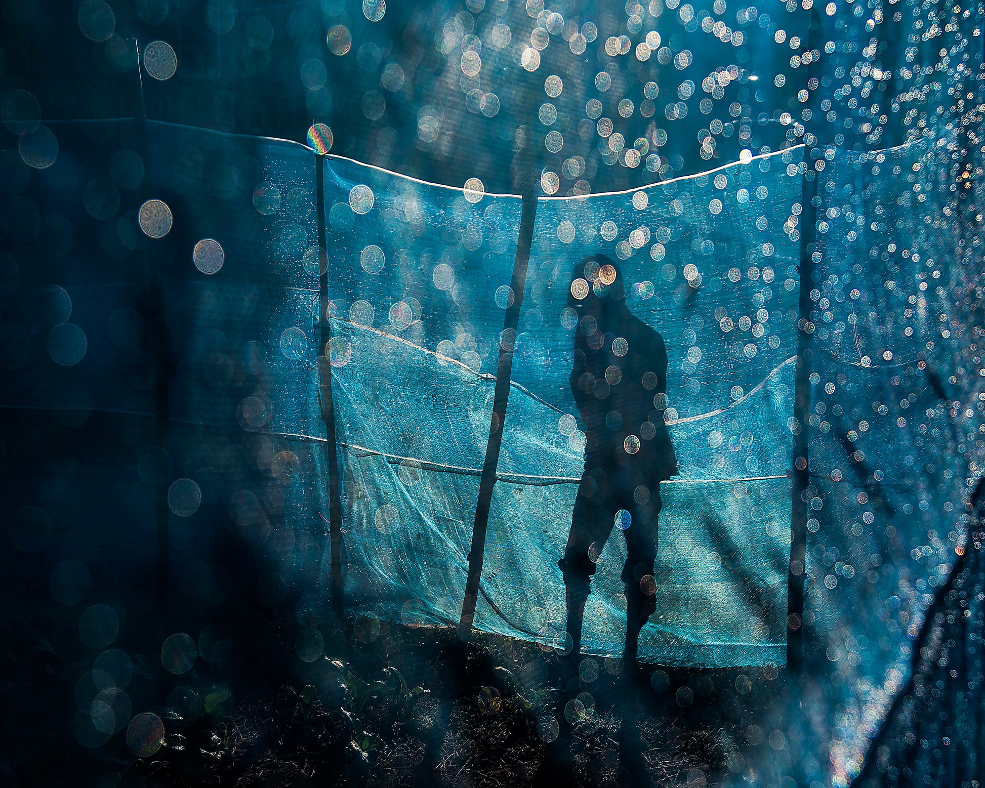 In The Blue Morning
