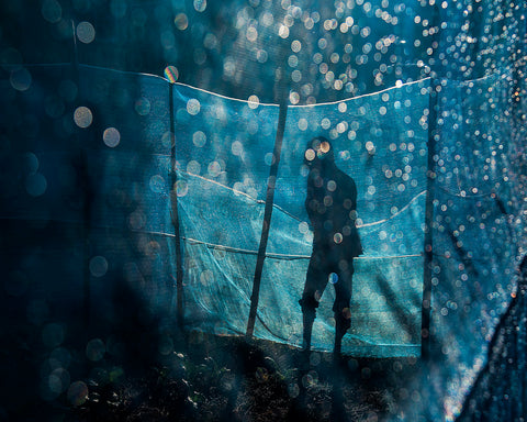 In The Blue Morning