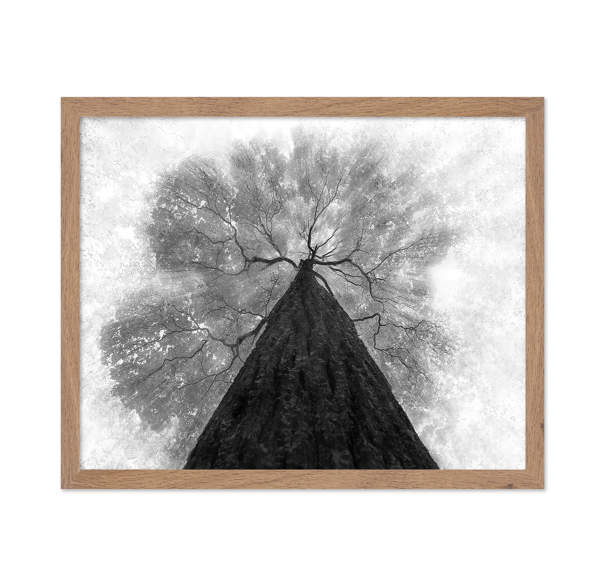 Grow To The Light