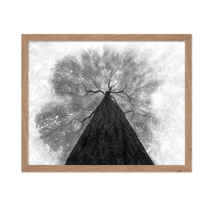 Grow To The Light