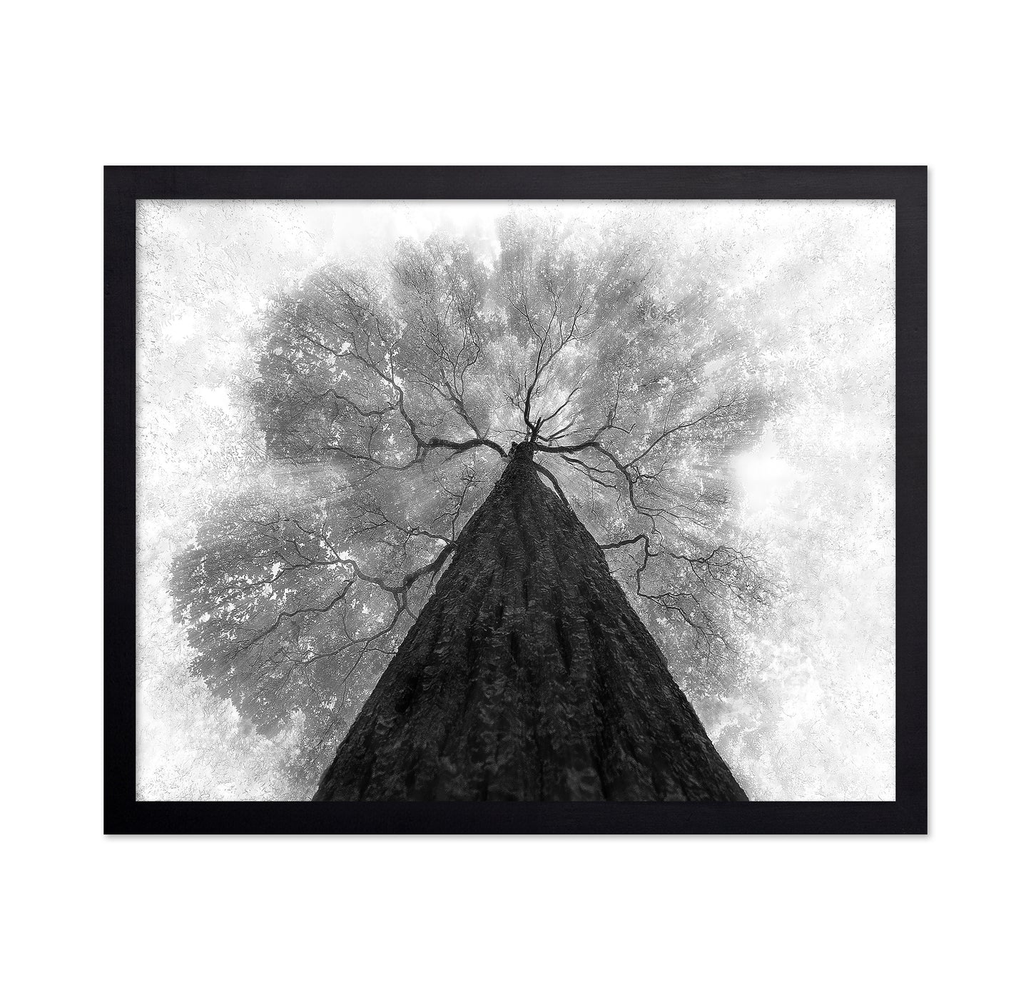 Grow To The Light