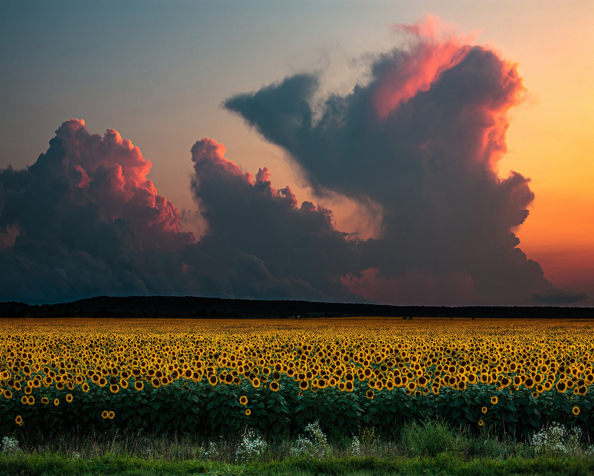Before Sunset