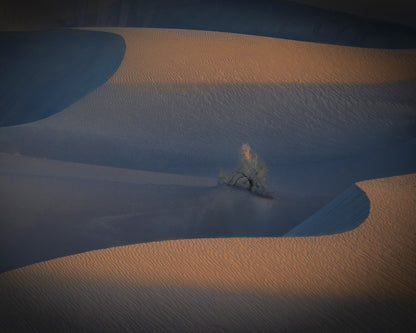 Light of Hope No 1