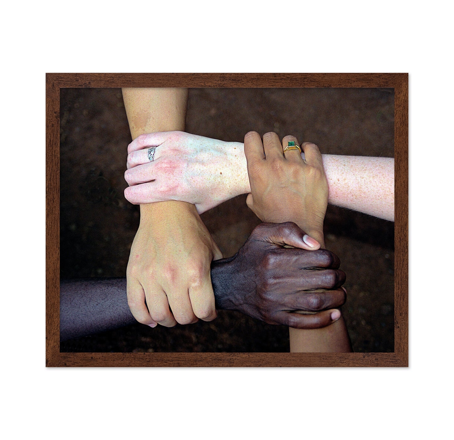 United Diversity