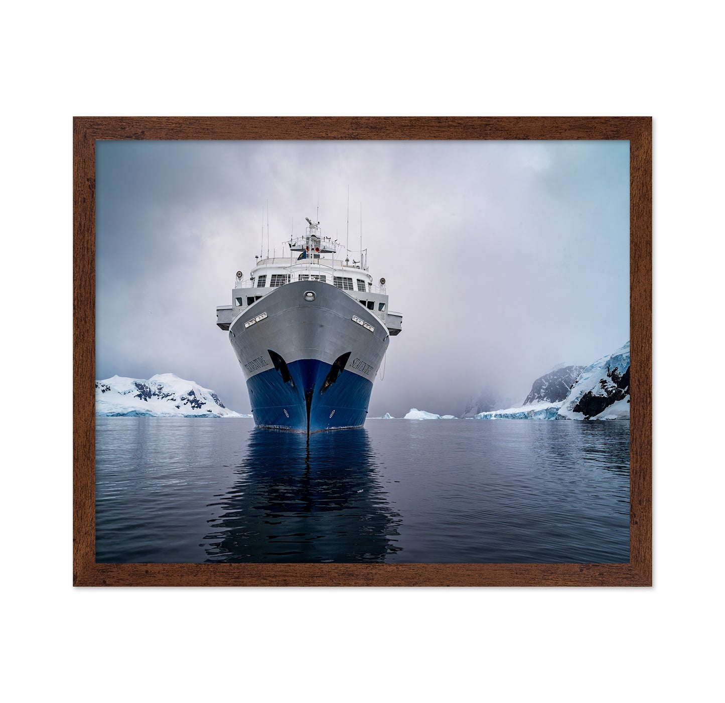 Antarctic Cruiser