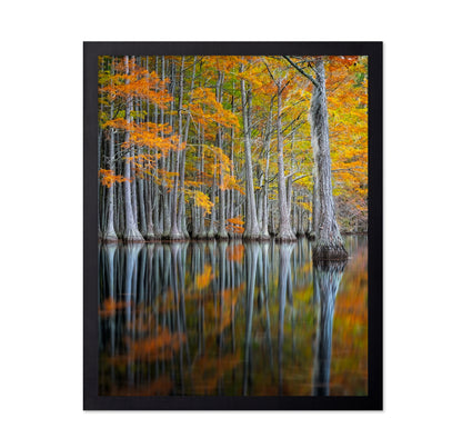 Cypress Study