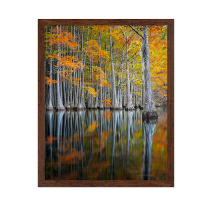 Cypress Study