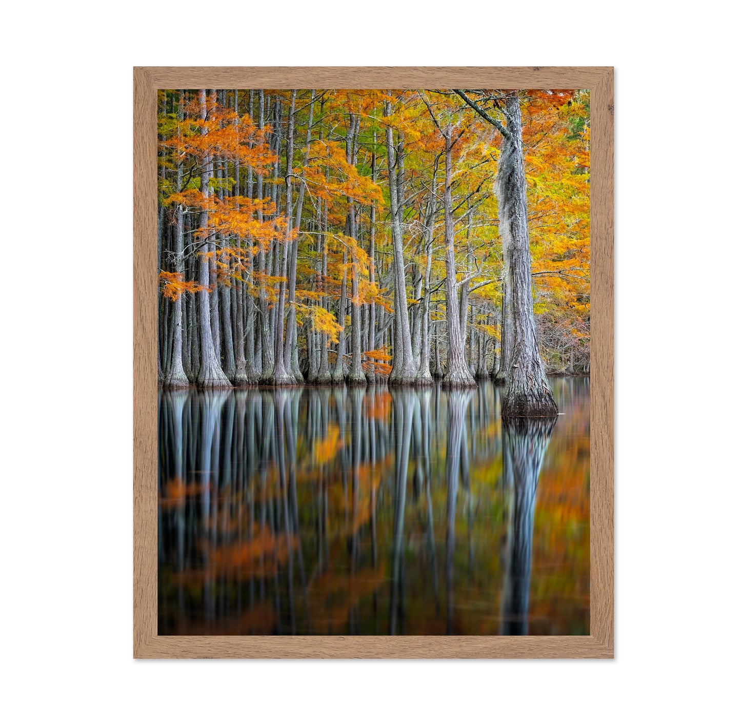 Cypress Study