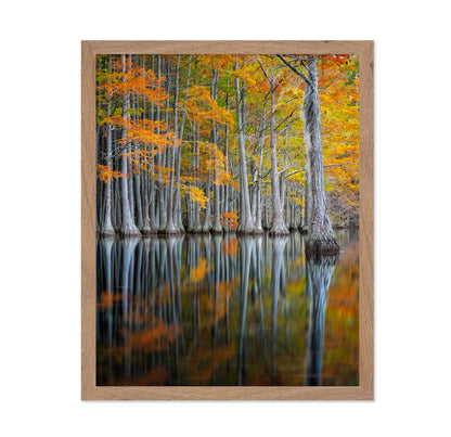 Cypress Study
