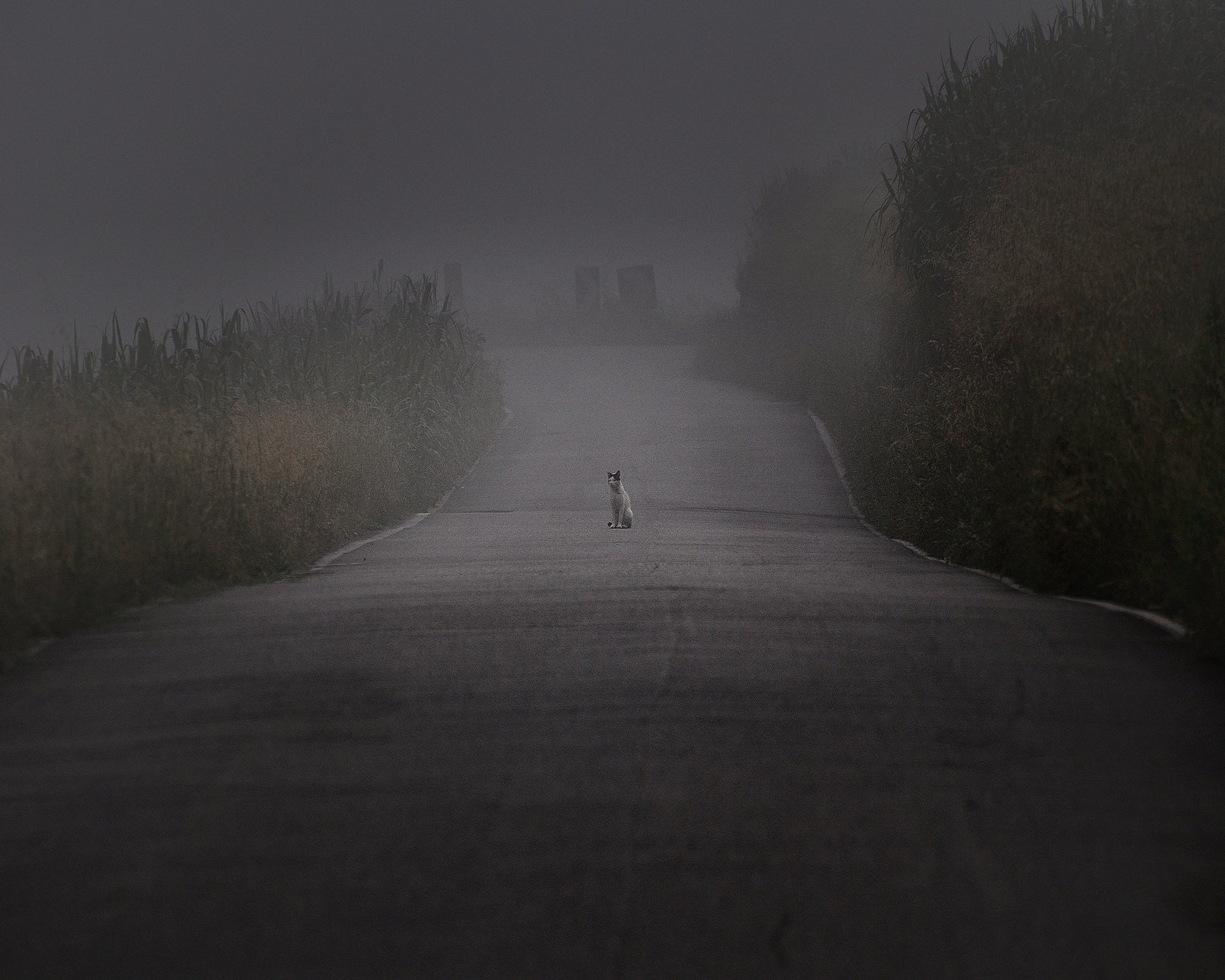 I Will Wait For You Here Foreve
