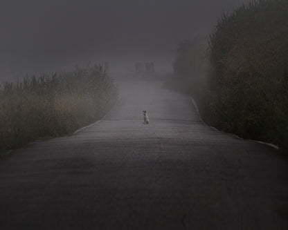 I Will Wait For You Here Foreve