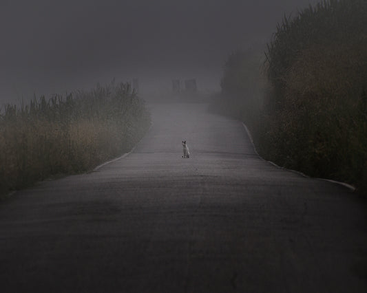 I Will Wait For You Here Foreve