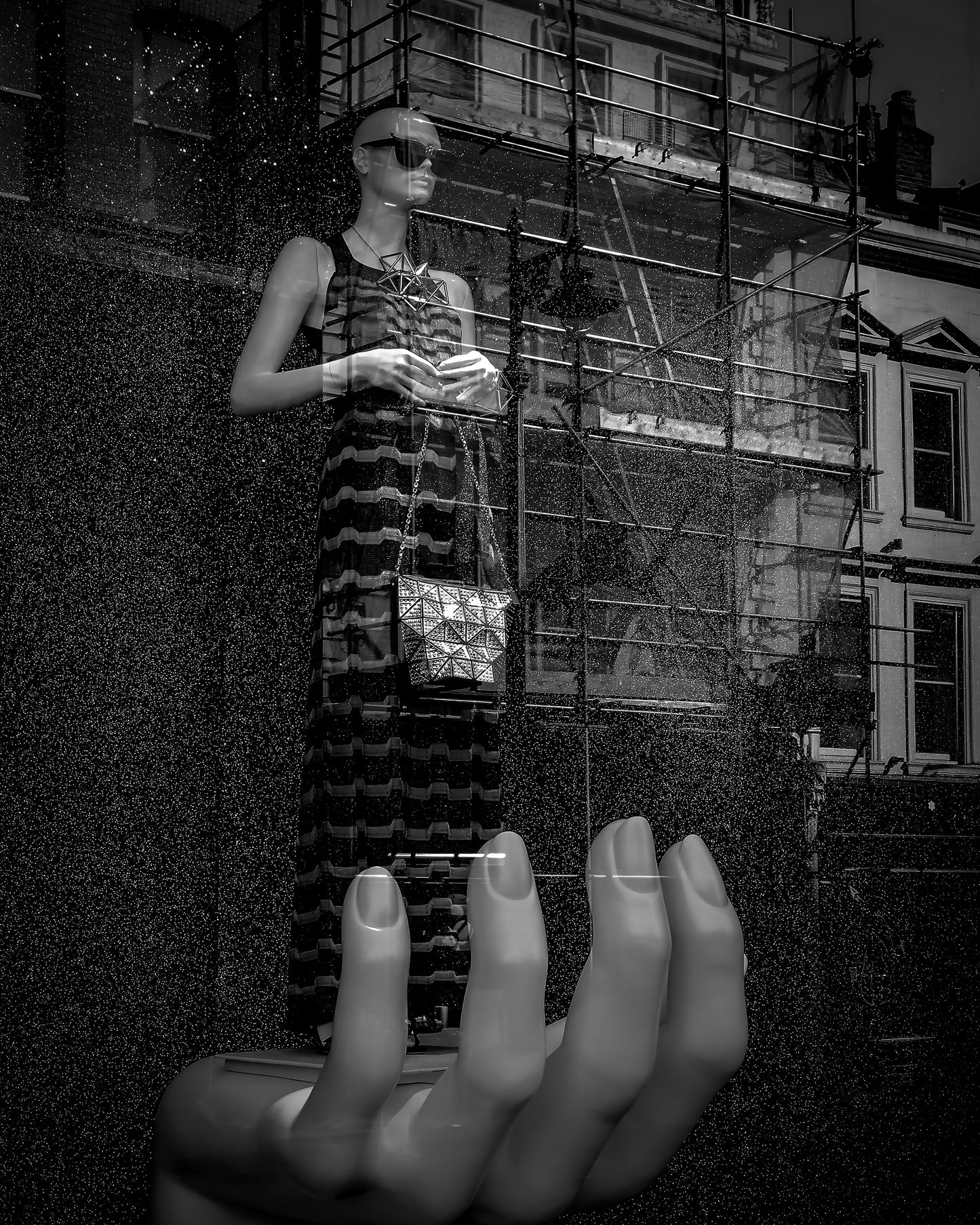 A Bird In The Hand