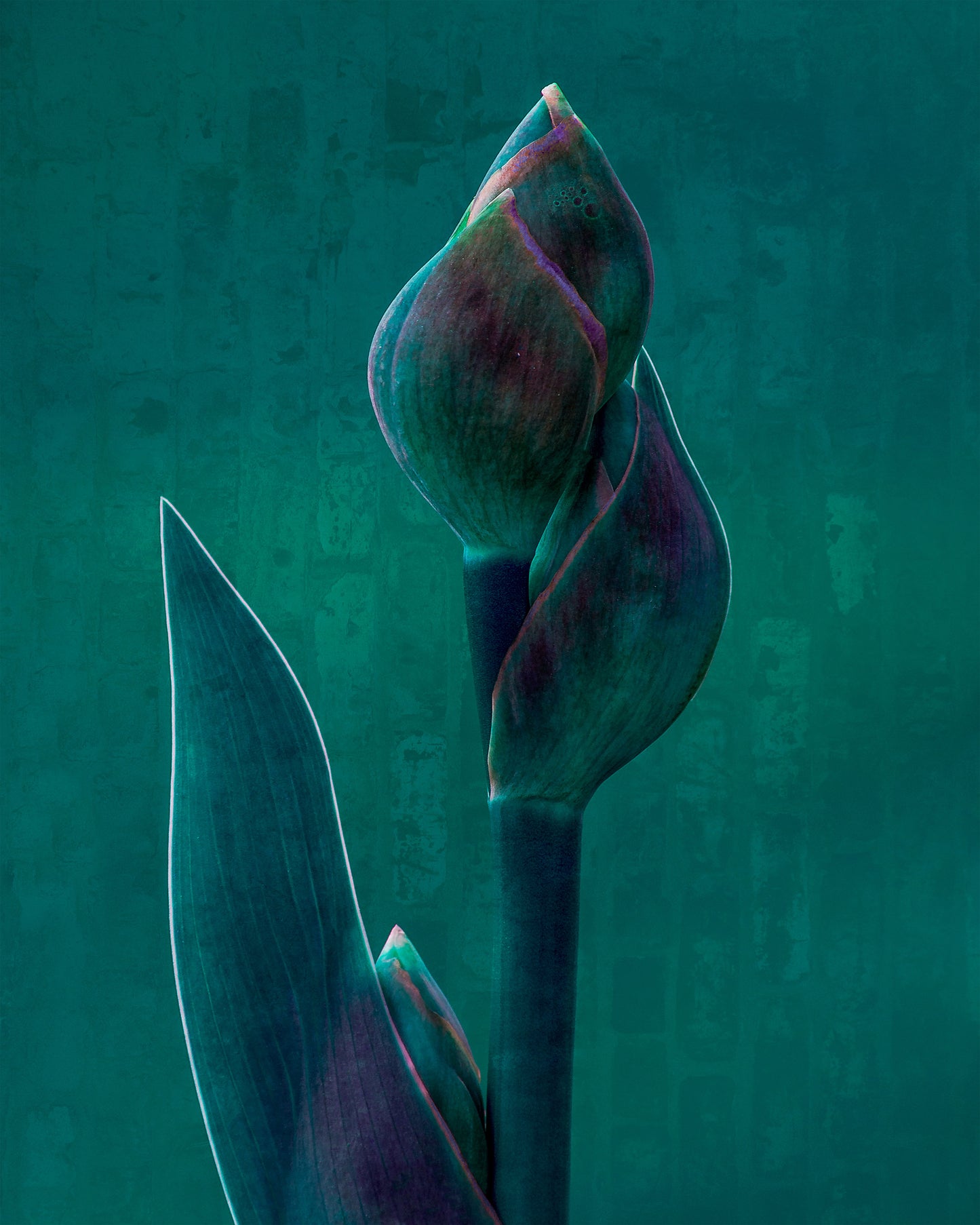 Blue Charade