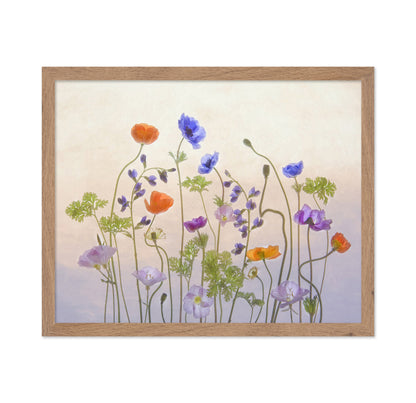 Poppy & Anemone