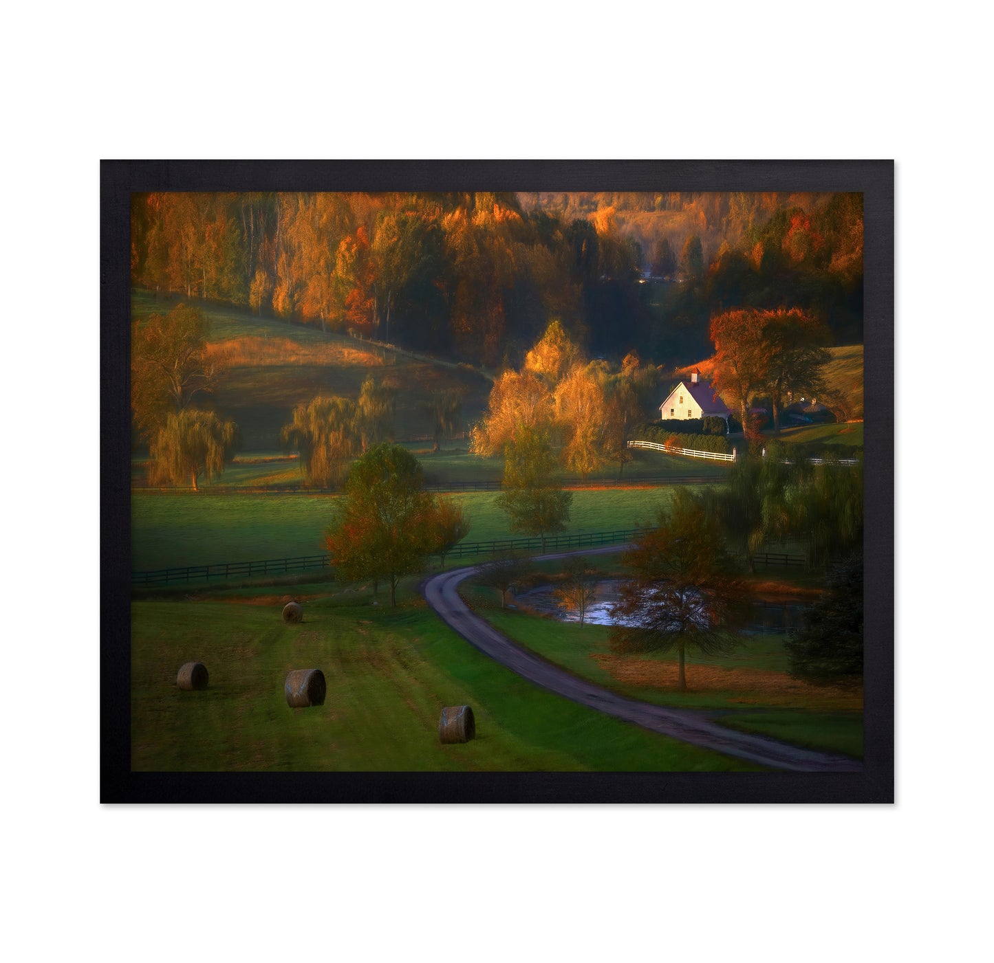 Fall Morning